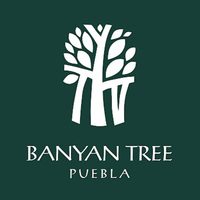 Banyan Tree Puebla